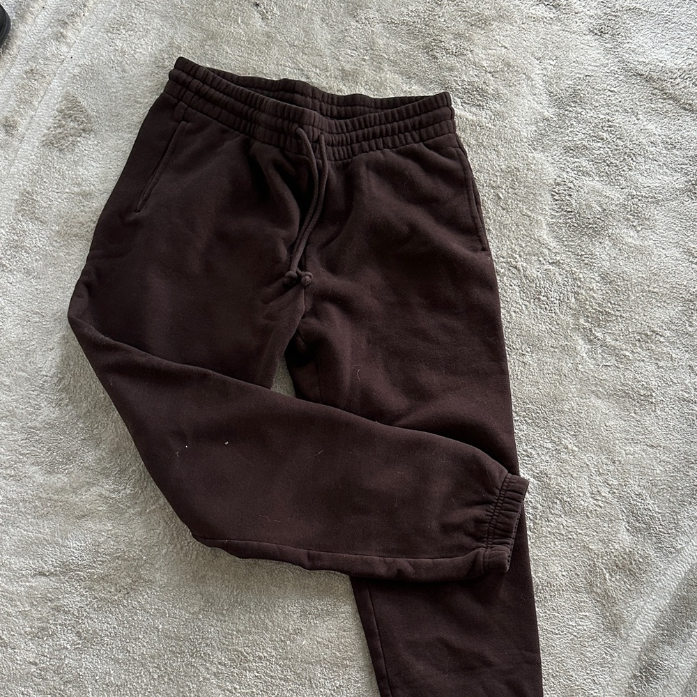 ARITZIA Brown Jogger Pants